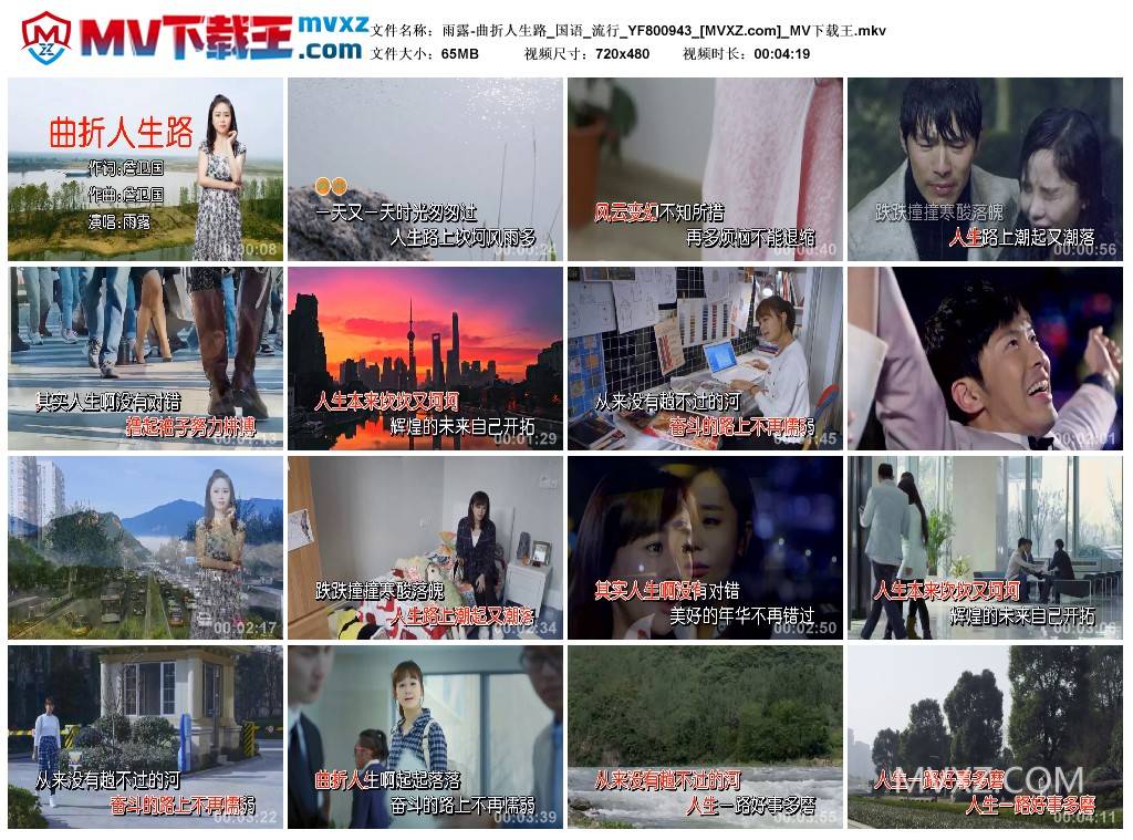 雨露-曲折人生路_国语_流行_YF800943